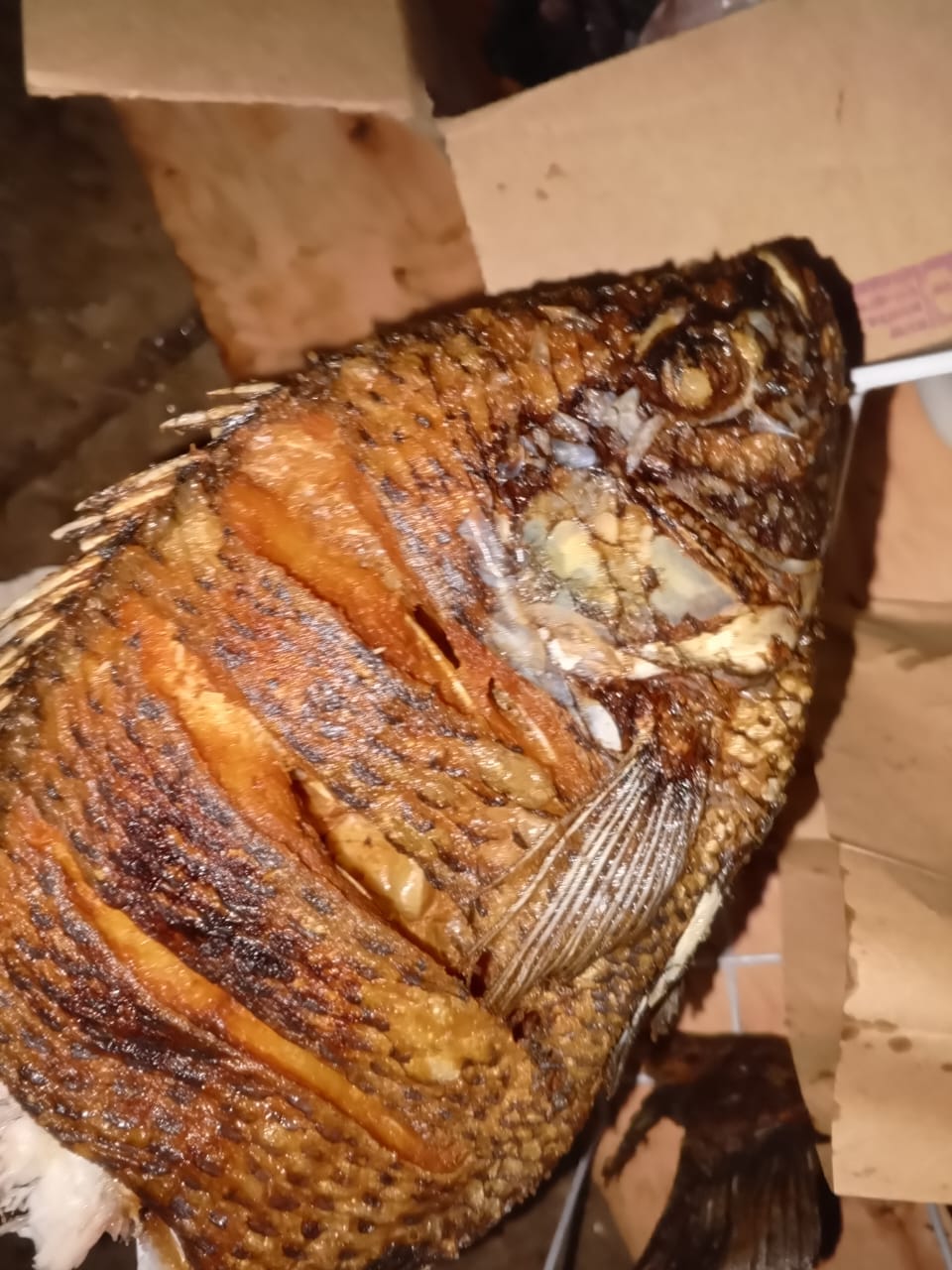 Fresh fish